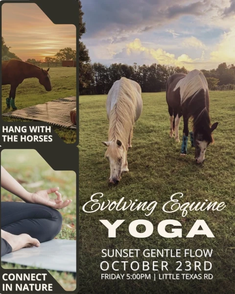 Icon for Evolving Equine Yoga
