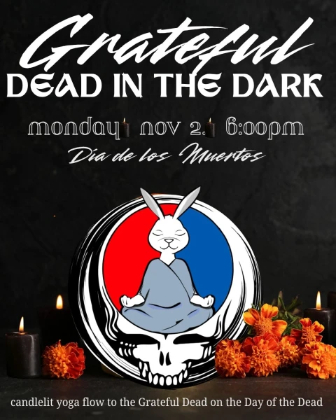 Icon for Grateful Dead In The Dark - Día De Los Muertos