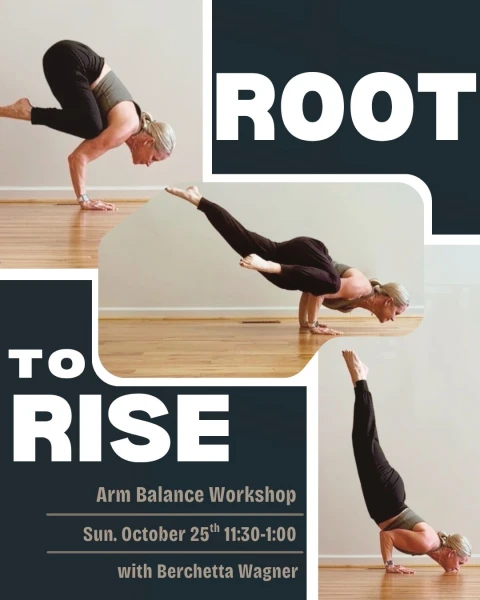 Root to Rise: an Arm Balance Workshop