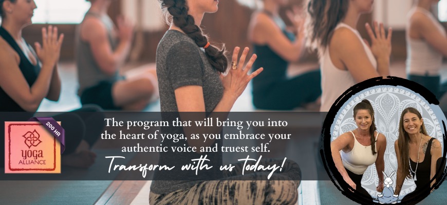 200-hour Yoga Teacher Training: 2025 Fall / Winter Main Image