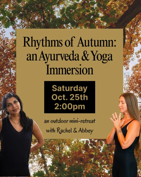 Rhythms Of Autumn 🍂 Ayurveda & Yoga Immersion